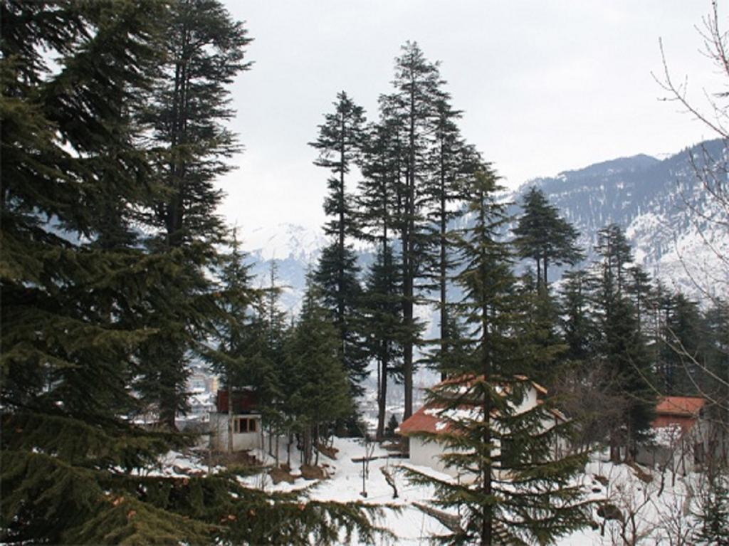 Hotel Greenfields Manāli Zewnętrze zdjęcie